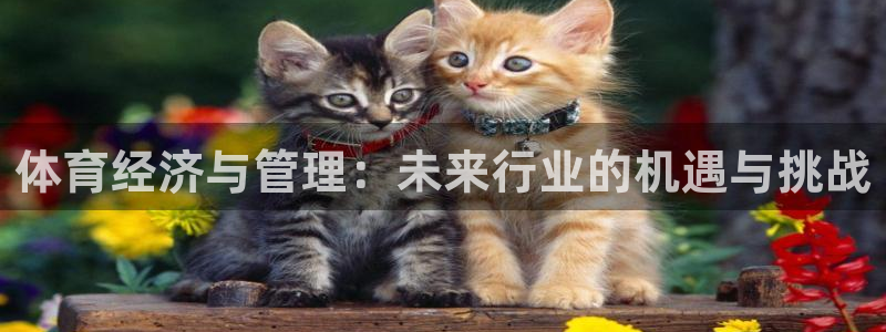 必一体育在线玩：体育