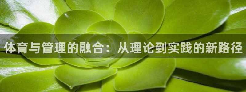 必一体育手机下载：体育与管理的融合：从理论到实践的新路径