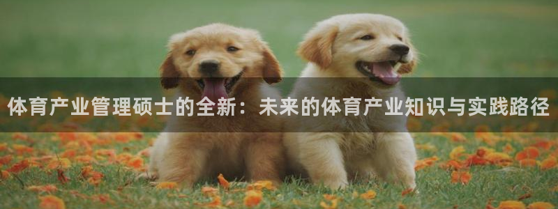 必一体育在线官网：体