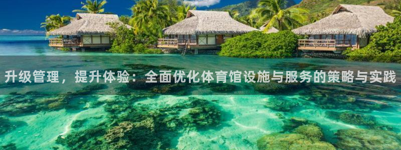 必一体育在线入口：升