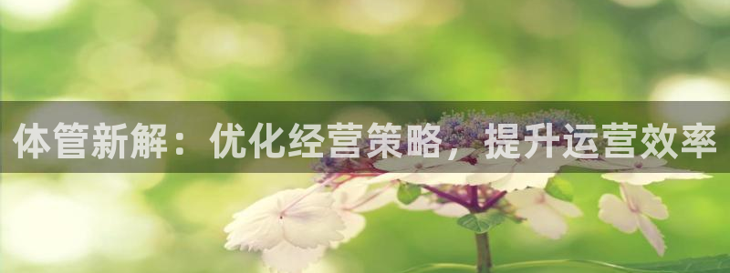 必一体育app下载装