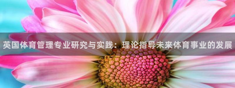 必一体育全站在线登录