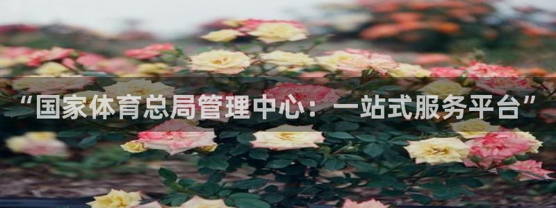 必一体育登录APP下
