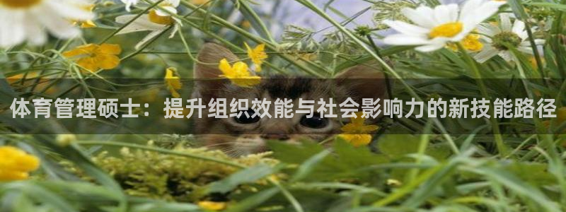 氵必一一厂一：体育管