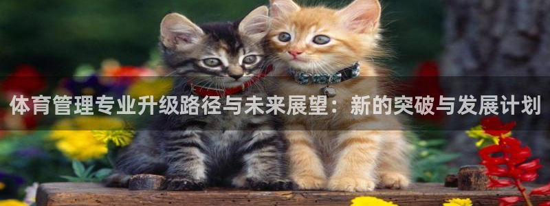必一体育运动平台官网