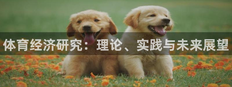 必一运动 b 体育素