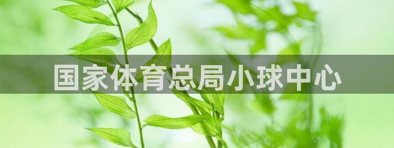 b体育官网下载入口a