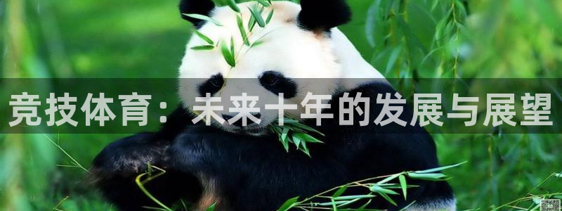 必一运动体：竞技体育