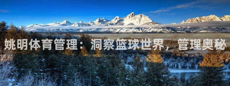 必一体育在线登陆