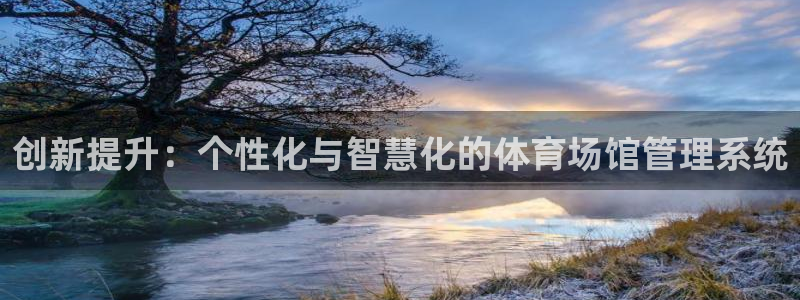 必一体育在线玩：创新