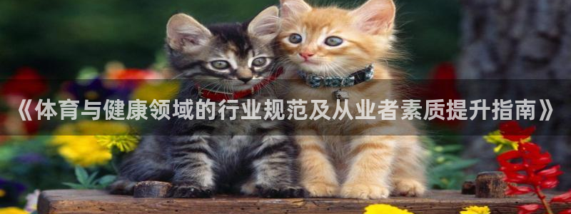 必一体育怎么下载：《