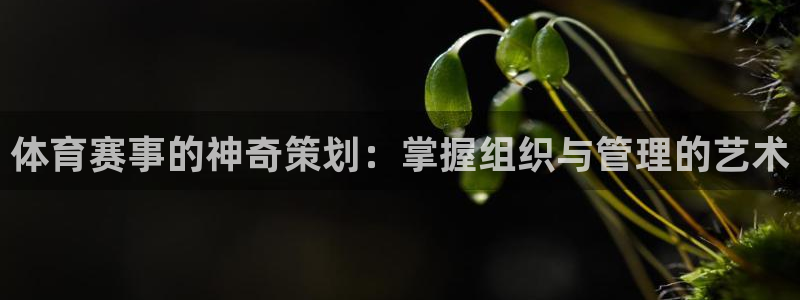 必一体育sport装机吧：体育赛事的神奇策划：掌握组织与管理