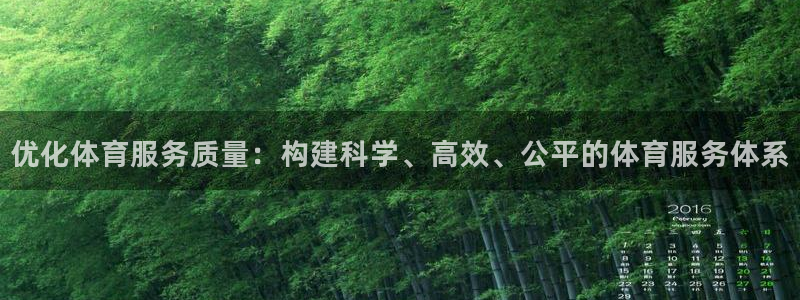 必一体育网页：优化体