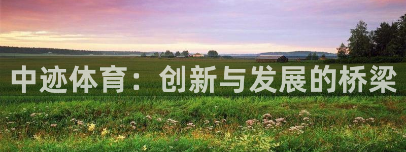 必一体育是哪里的台子：中迹体育：创新与发展的桥梁