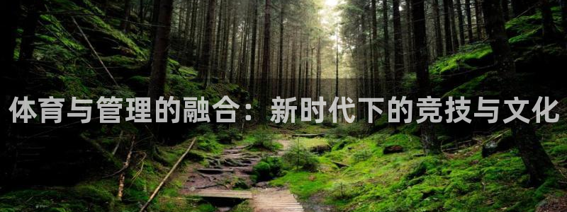 必一体育官方下载：体