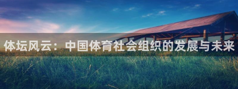 氵必一一厂一：体坛风