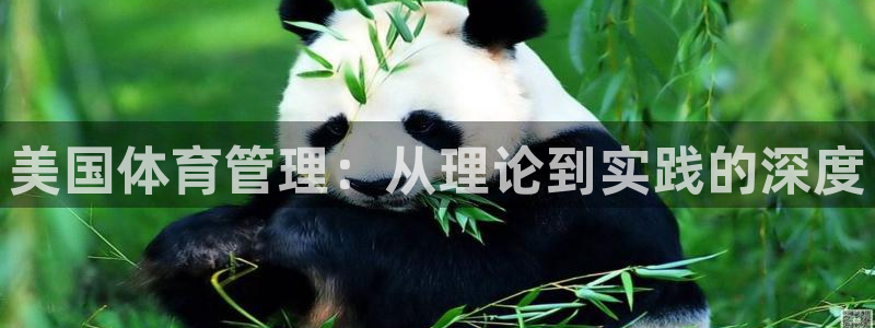 必一体育运动下载：美