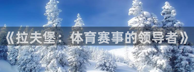 必一体育app官方正