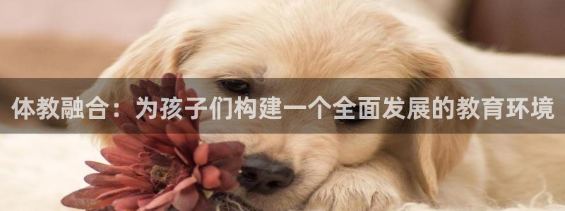 必一体育登陆：体教融合：为孩子们构建一个全面发展的教育环境